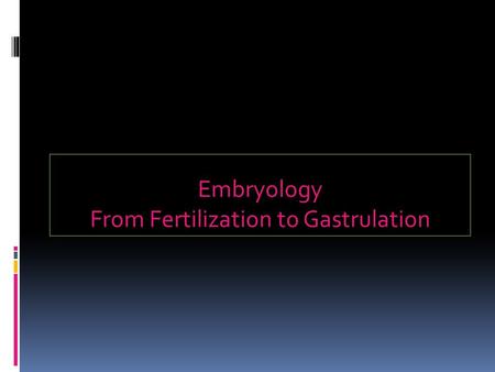 Embryology From Fertilization to Gastrulation