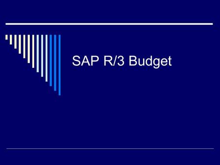 SAP R/3 Budget.