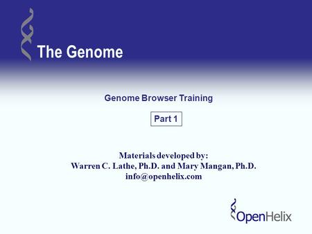 The Genome Genome Browser Training Materials developed by: Warren C. Lathe, Ph.D. and Mary Mangan, Ph.D. Part 1.