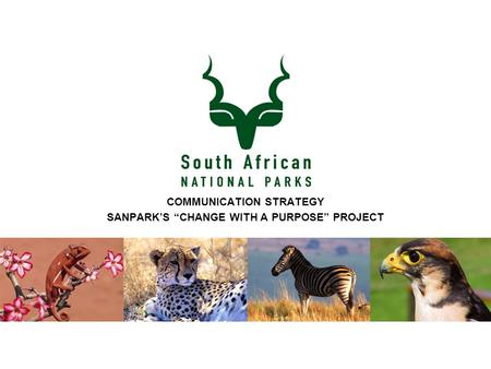 COMMUNICATION STRATEGY SANPARK’S “CHANGE WITH A PURPOSE” PROJECT.