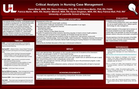 EVALUATION PURPOSE PROJECT DESCRIPTION IMPACT Critical Analysis in Nursing Case Management Critical Analysis in Nursing Case Management Karen Black, MSN,