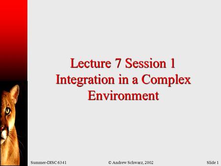 Summer-DISC 6341© Andrew Schwarz, 2002Slide 1 Lecture 7 Session 1 Integration in a Complex Environment.