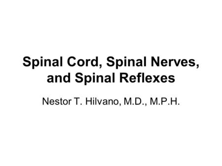 Spinal Cord, Spinal Nerves, and Spinal Reflexes Nestor T. Hilvano, M.D., M.P.H.