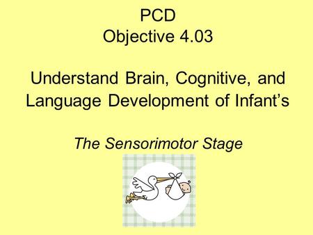 PCD Objective 4.03 Understand Brain, Cognitive, and Language Development of Infant’s The Sensorimotor Stage.