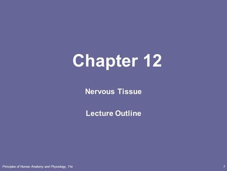 Nervous Tissue Lecture Outline