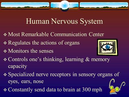 Human Nervous System Most Remarkable Communication Center