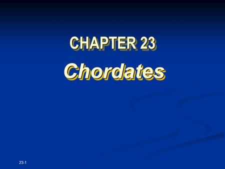 23-1 CHAPTER 23 Chordates Chordates. Copyright © The McGraw-Hill Companies, Inc. Permission required for reproduction or display. 23-2 The Chordates: