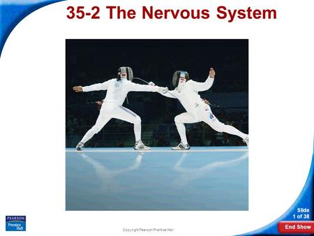 End Show Slide 1 of 38 Copyright Pearson Prentice Hall 35-2 The Nervous System.