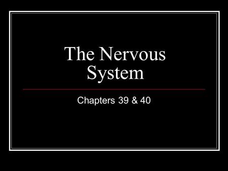 The Nervous System Chapters 39 & 40. Overview Three overlapping functions: sensory input, integration, and motor output Sensory input – the conduction.
