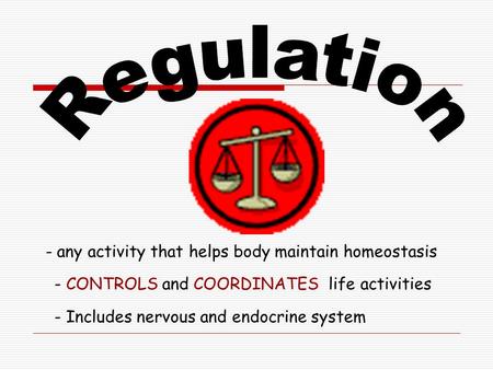 - any activity that helps body maintain homeostasis - CONTROLS and COORDINATES life activities - Includes nervous and endocrine system.