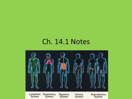 Ch. 14.1 Notes.