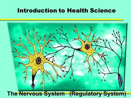 Introduction to Health Science The Nervous System (Regulatory System)