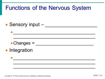 Functions of the Nervous System
