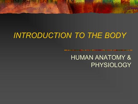 INTRODUCTION TO THE BODY HUMAN ANATOMY & PHYSIOLOGY.