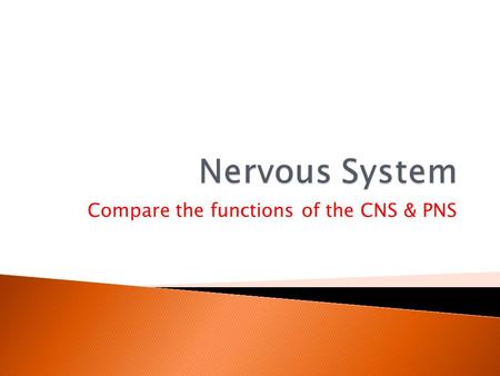 Compare the functions of the CNS & PNS.  Identify the principle parts of the nervous system  Describe the cells that make up the nervous system 