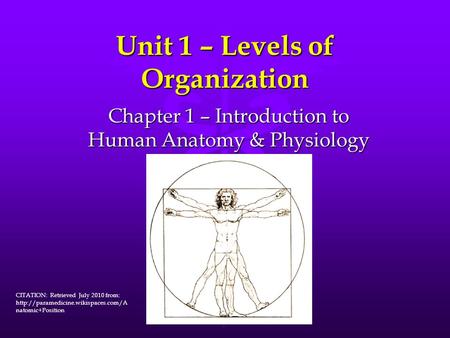 Unit 1 – Levels of Organization