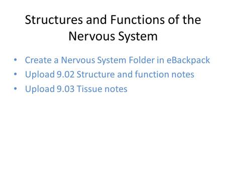 Structures and Functions of the Nervous System