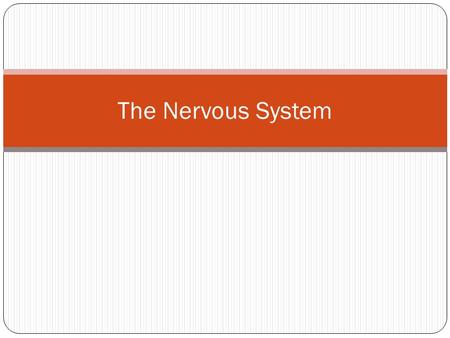 The Nervous System. The Central Nervous System The master design system that controls everything in your body including; heart rate, eye movements, higher.