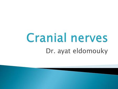 Cranial nerves Dr. ayat eldomouky.