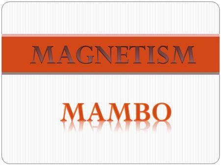 MAGNETISM MAMBO.