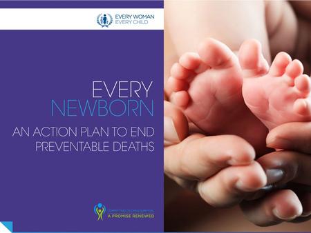 The ‘Every Newborn’ Maternal – Newborn Bottleneck Analysis Tool.