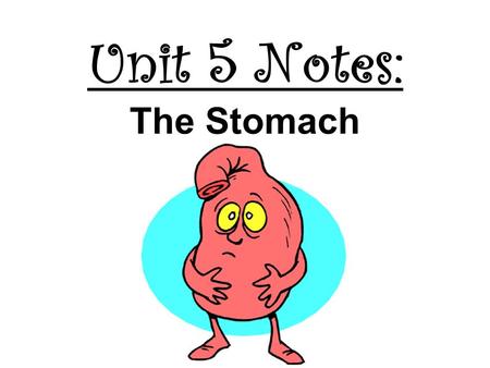 Unit 5 Notes: The Stomach