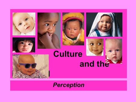 Culture and the Individual Perception. Everyday Assumptions about Perception Phenomenal absolutism - the assumption that the world is as you see it. Perceptual.