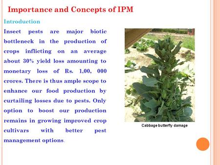 Importance and Concepts of IPM