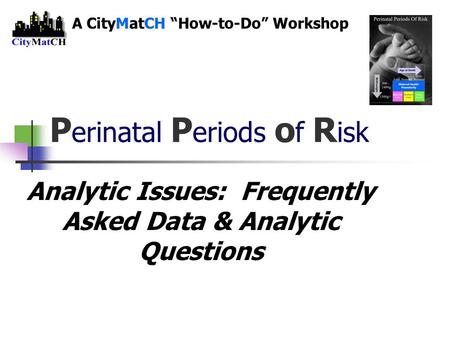 P erinatal P eriods o f R isk Analytic Issues: Frequently Asked Data & Analytic Questions A CityMatCH “How-to-Do” Workshop.