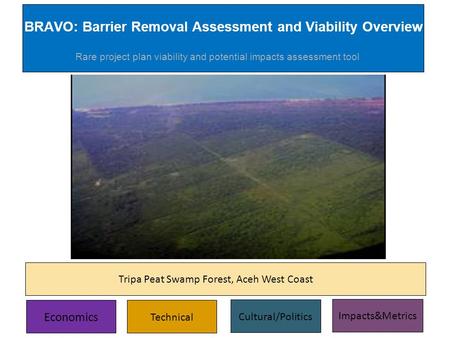 BRAVO: Executive Summary BRAVO: Barrier Removal Assessment and Viability Overview Economics Technical Cultural/Politics Impacts&Metrics Tripa Peat Swamp.