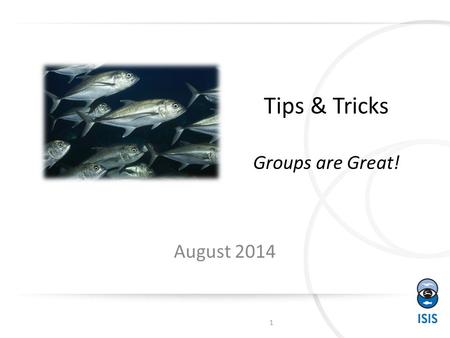 Tips & Tricks Groups are Great! August 2014 1. Use of a Group Record Individuals are not identifiable – EXAMPLE – all ten frogs look alike – EXAMPLE –