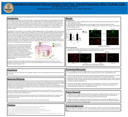 Testosterone Mediated Neuroprotection from FasL Induced Apoptosis within Purkinje Cells Luke Mike with Dr. Damani Bryant Biology Department | University.