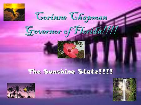Corinne Chapman Governor of Florida!!!! The Sunshine State!!!!