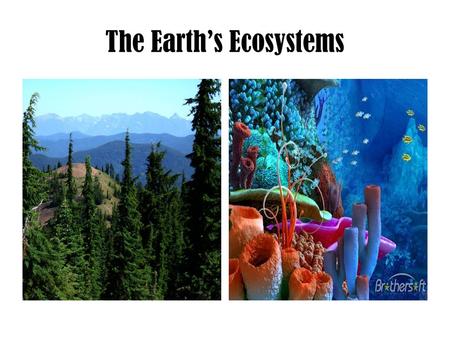 The Earth’s Ecosystems