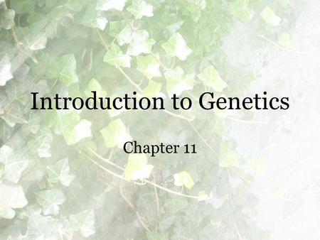 Introduction to Genetics Chapter 11. What is inheritance? Genetics – the scientific study of heredity. Gregor Mendel – an Austrian monk who observed patterns.