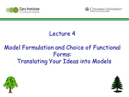 Lecture 4 Model Formulation and Choice of Functional Forms: Translating Your Ideas into Models.