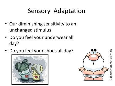 Sensory Adaptation Our diminishing sensitivity to an unchanged stimulus Do you feel your underwear all day? Do you feel your shoes all day?