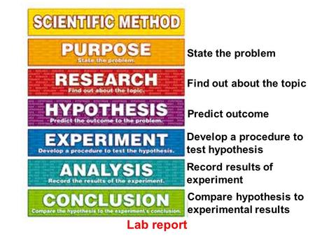 State the problem Find out about the topic Predict outcome Develop a procedure to test hypothesis Record results of experiment Compare hypothesis to experimental.