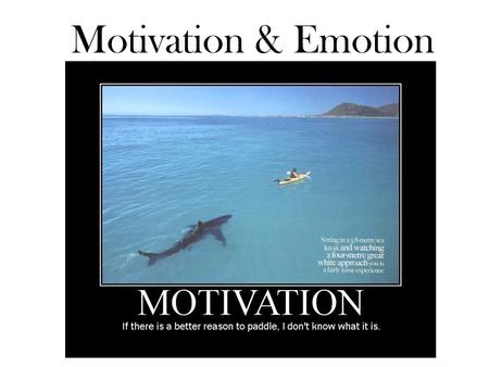 Motivation & Emotion.