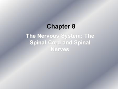The Nervous System: The Spinal Cord and Spinal Nerves
