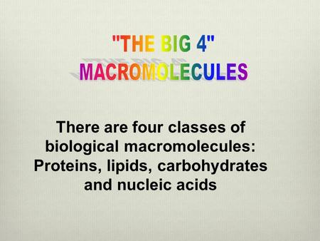THE BIG 4 MACROMOLECULES