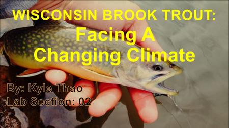 WISCONSIN BROOK TROUT: Facing A Changing Climate.