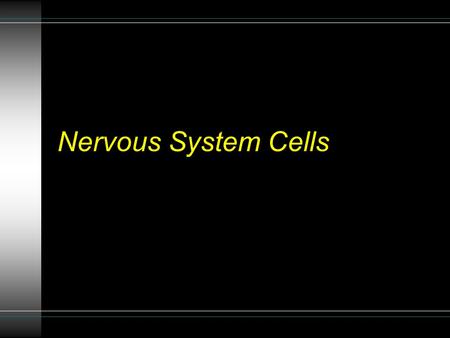 Nervous System Cells. The Nervous System The Nervous system is responsible for communication Composed of the: Brain Spinal Cord Nerves.