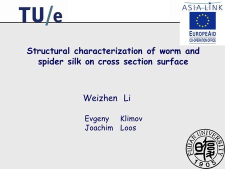 Structural characterization of worm and spider silk on cross section surface Weizhen Li Evgeny Klimov Joachim Loos.