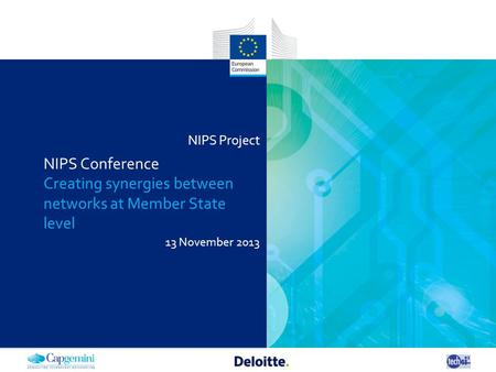 NIPS Project 13 November 2013 NIPS Conference Creating synergies between networks at Member State level.