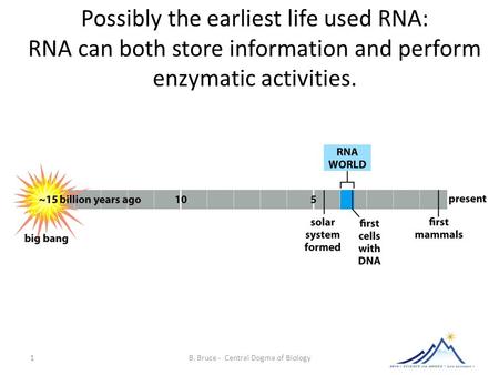 Possibly the earliest life used RNA: