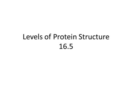 Levels of Protein Structure 16.5. Peptide/Protein Formation Peptide: small, up to 50 AA Proteins: large, several 100 AA and/or multiple peptide chains.