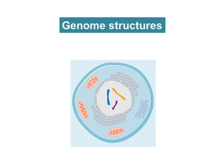 Genome structures. Table 7.2 Genomes 3 (© Garland Science 2007)