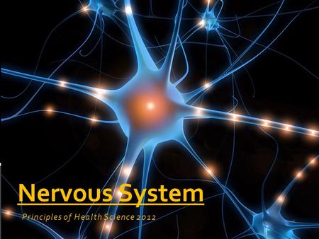 Principles of Health Science 2012 Nervous System.