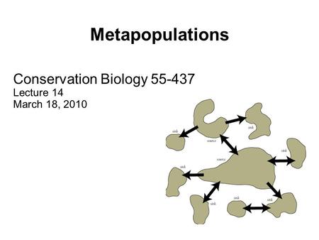Metapopulations Conservation Biology 55-437 Lecture 14 March 18, 2010.